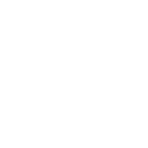 HTML / CSS / JS